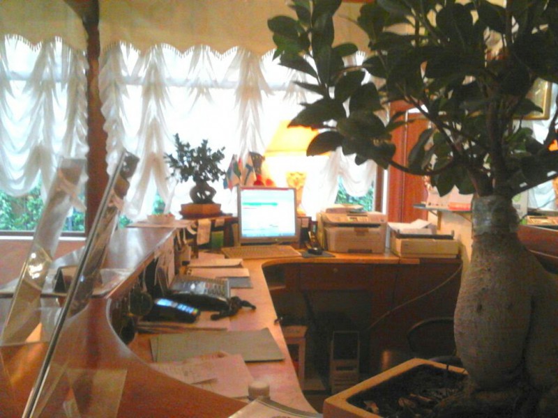 Elenco immagine di copertina