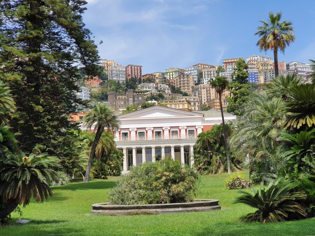 Elenco immagine di copertina